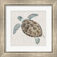 Framed Sea Turtle II