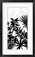 Rainforest Ferns II Framed Print
