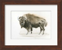 Framed Buffalo Bill