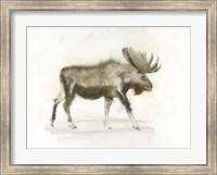 Framed Dark Moose