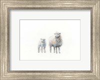 Framed Sheep and Lamb