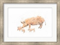 Framed Pig and Piglet