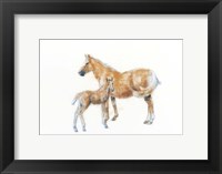 Framed Horse and Colt