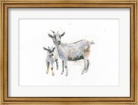 Framed Goat and Kid