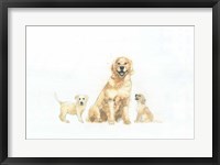 Framed Dog and Puppies