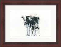 Framed Cow and Calf