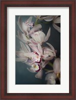 Framed Dark Orchid I
