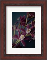Framed Dark Orchid III