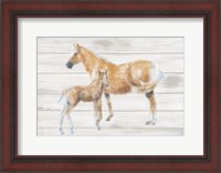 Framed Horse and Colt on Wood