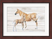 Framed Horse and Colt on Wood