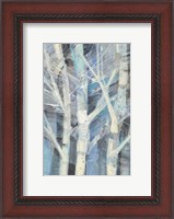 Framed Winter Birches I