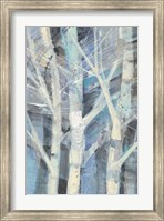 Framed Winter Birches I