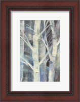 Framed Winter Birches II