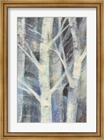 Framed Winter Birches II