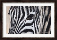 Framed Zebra Eyes