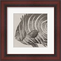 Framed Vintage Fish II