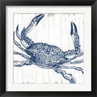 Framed Seaside Crab