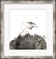 Framed Eagle