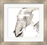 Framed Elephant