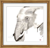 Framed Elephant