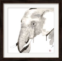 Framed Elephant