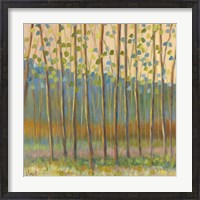 Framed Through Pastel Trees