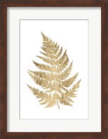 Framed Graphic Gold Fern IV