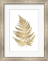 Framed Graphic Gold Fern IV