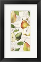 Framed Pyrus Study I