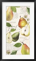 Framed Pyrus Study I