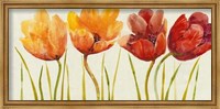 Framed Row of Tulips I