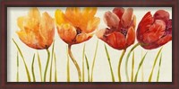 Framed Row of Tulips I