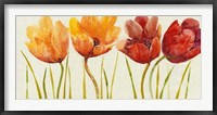 Row of Tulips I Framed Print