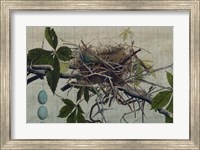 Framed Nesting I
