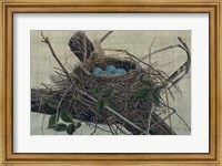 Framed Nesting II