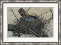 Framed Nesting II