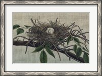 Framed Nesting III
