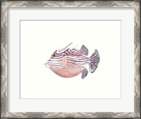 Framed Watercolor Tropical Fish II