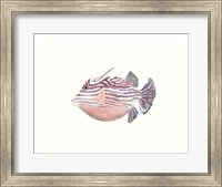 Framed Watercolor Tropical Fish II