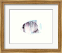 Framed Watercolor Tropical Fish III