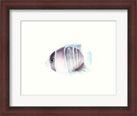 Framed Watercolor Tropical Fish III