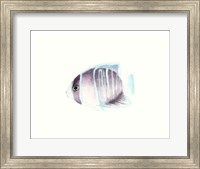 Framed Watercolor Tropical Fish III