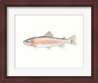 Framed Watercolor Deep Sea Fish II
