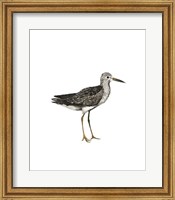 Framed Sea Bird III
