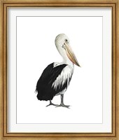 Framed Sea Bird IV