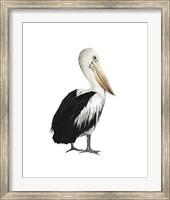 Framed Sea Bird IV