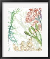Woven Seaplants I Framed Print