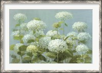 Framed White Hydrangea Garden