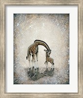Framed My Love for You - Giraffes