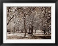 Framed Cherry Tree Park